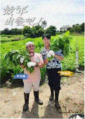 城市漫游者 旅行人文综艺海报